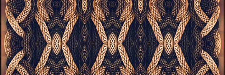 pollito de colores♡ banner