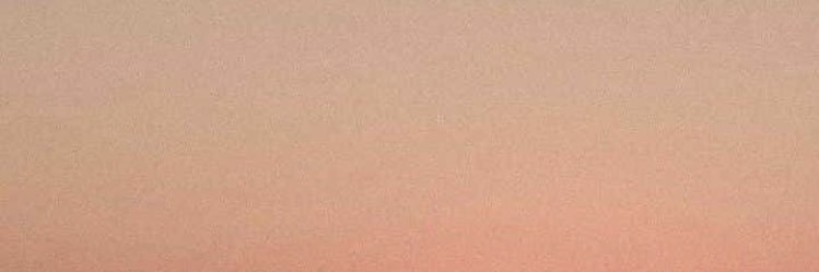 roguerrer0's profile banner image