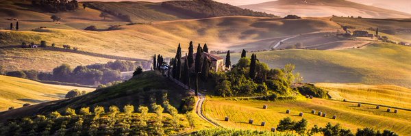 PauldeRook Profile Banner