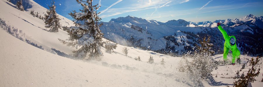 MINT Snowboarding banner