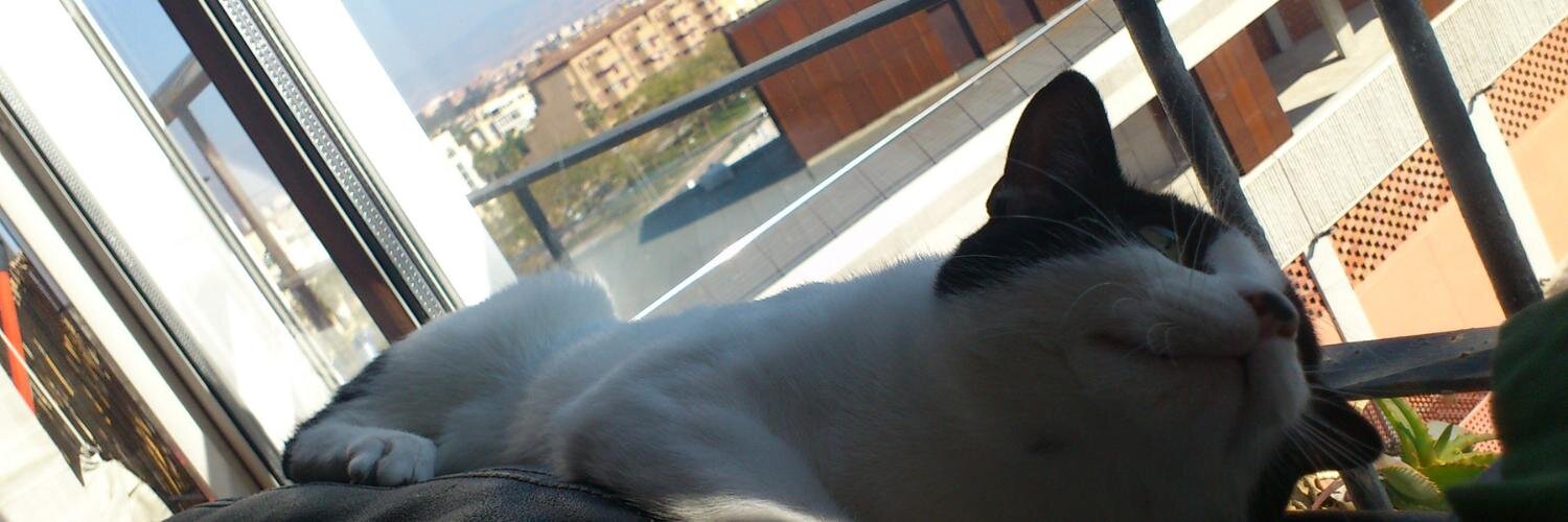 MrPesk's profile banner image