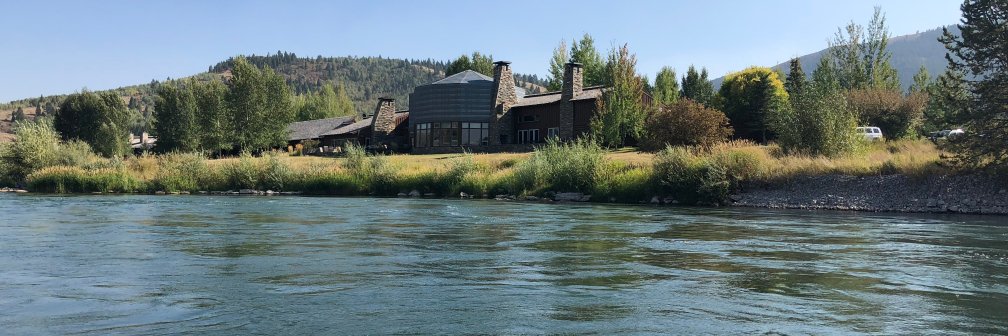 Foghorn Leghorn banner