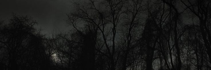 Rodriguezpau0's profile banner image