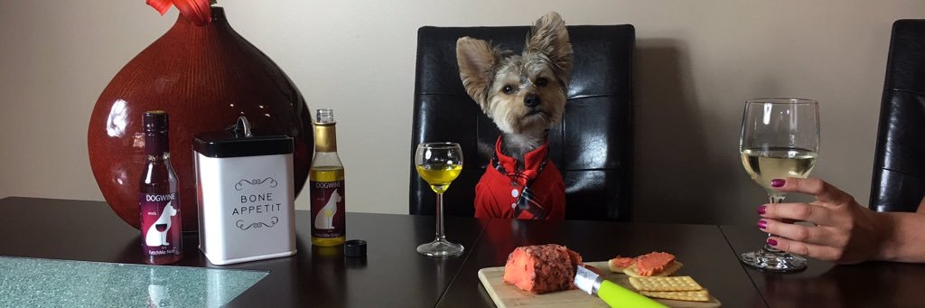 Wicket The Morkie banner