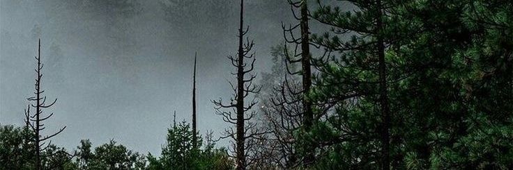 luwussi's profile banner image