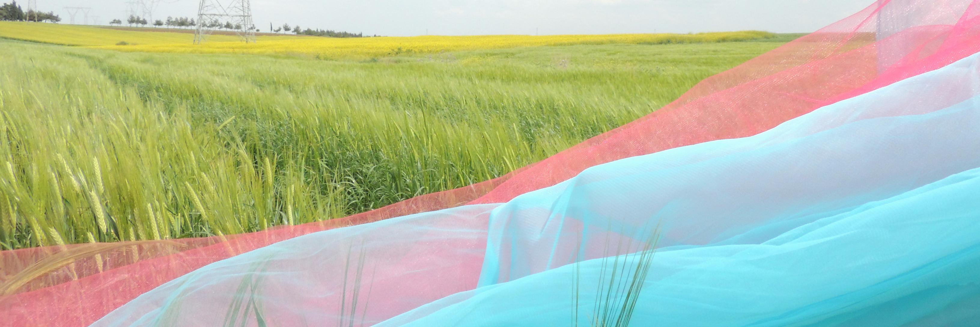 ssllnn's profile banner image