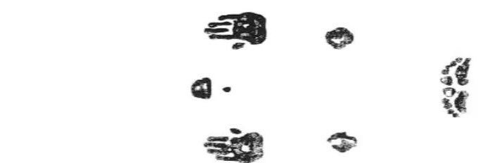 rrmthb's profile banner image