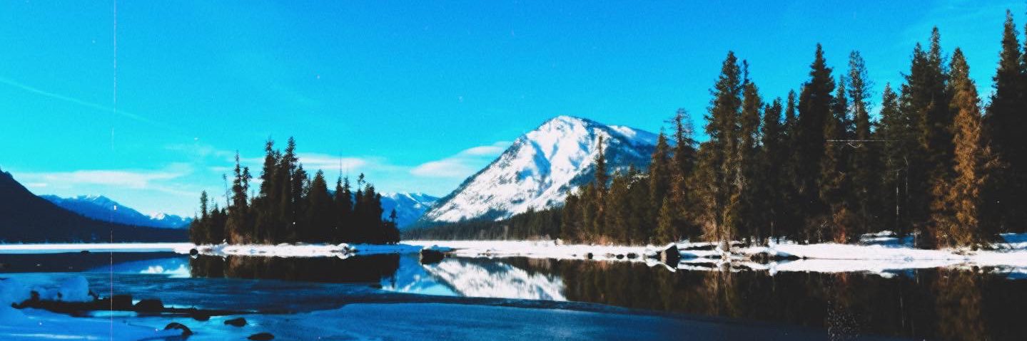 annanewman_'s profile banner image
