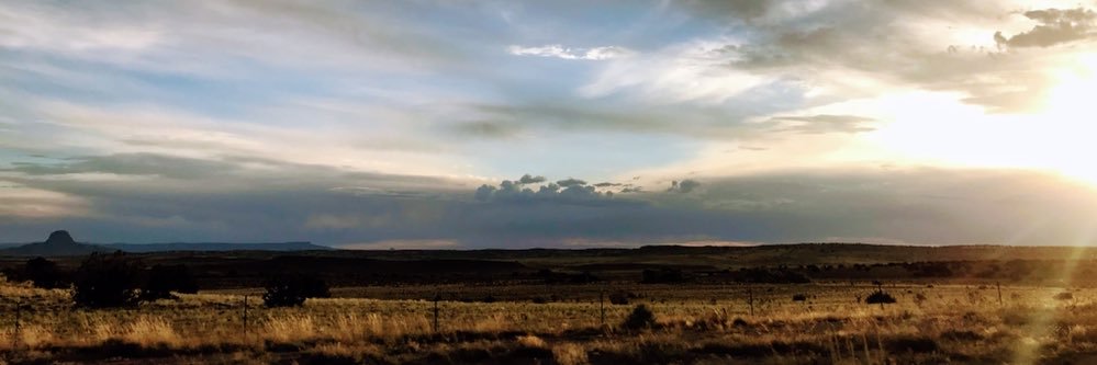 taylorbilley's profile banner image