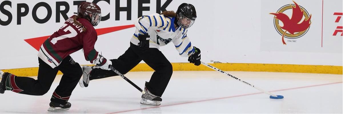 Rules of Ringette banner