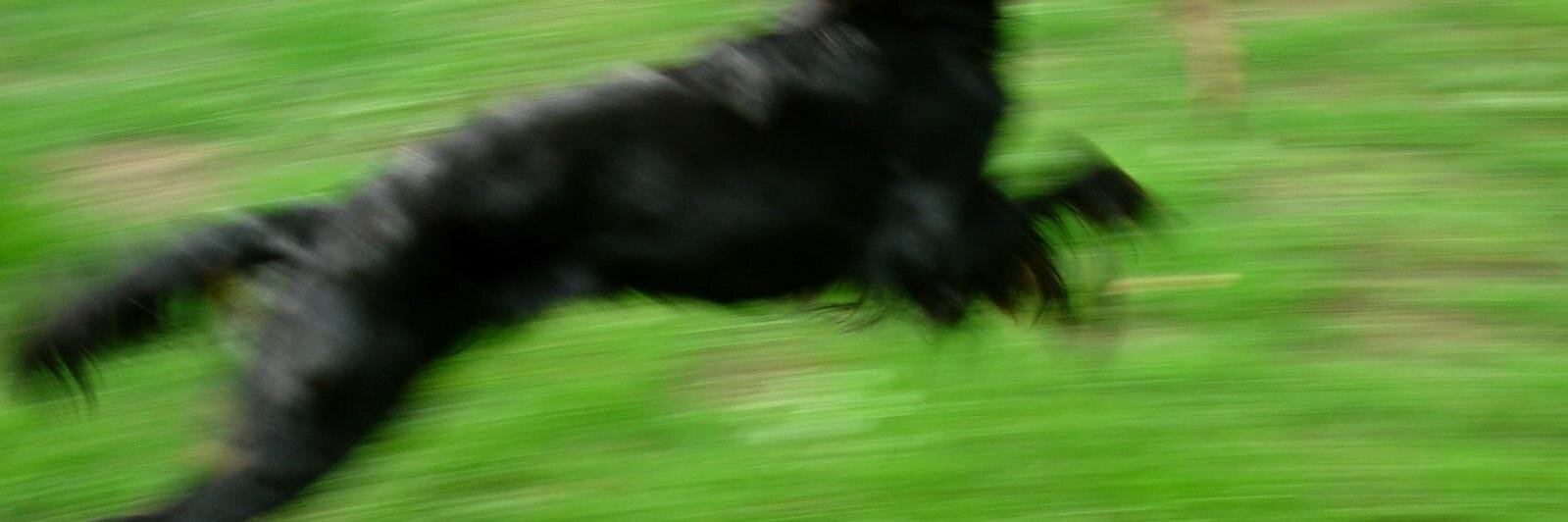 sueklap's profile banner image