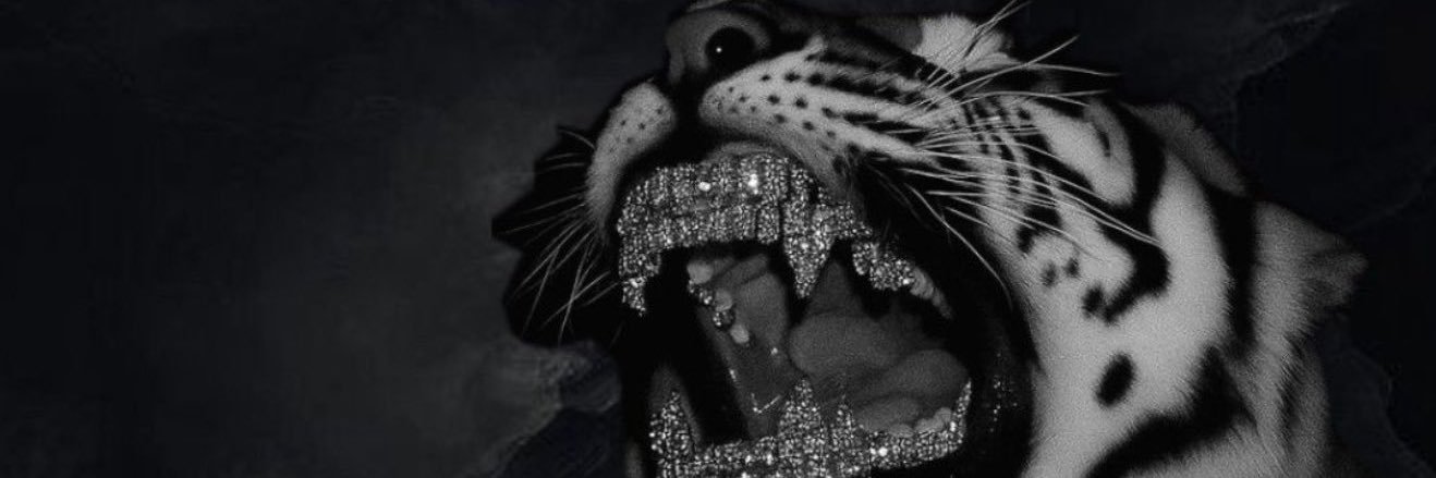 bthadarknight's profile banner image