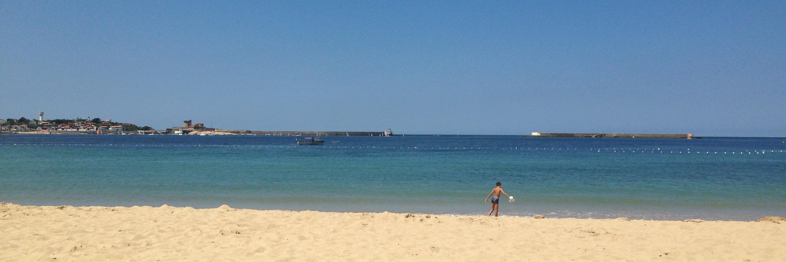 C Leston-Bandeira banner