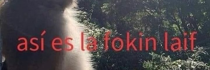m4drigql_'s profile banner image