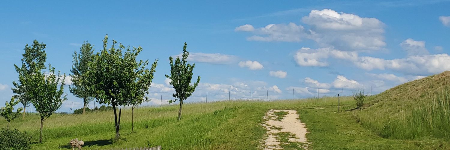 ElisaWien's profile banner image