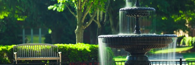 Jeanne Mekolichick banner