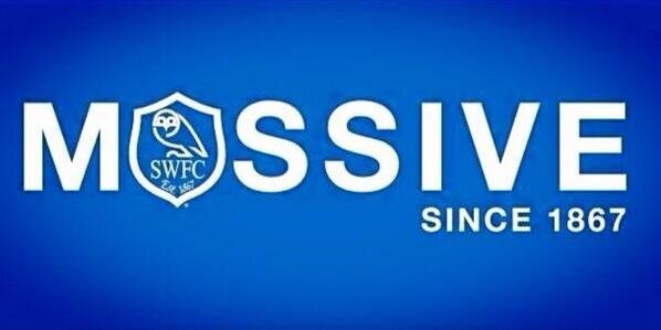 Swissowls 💙🦉💙 banner