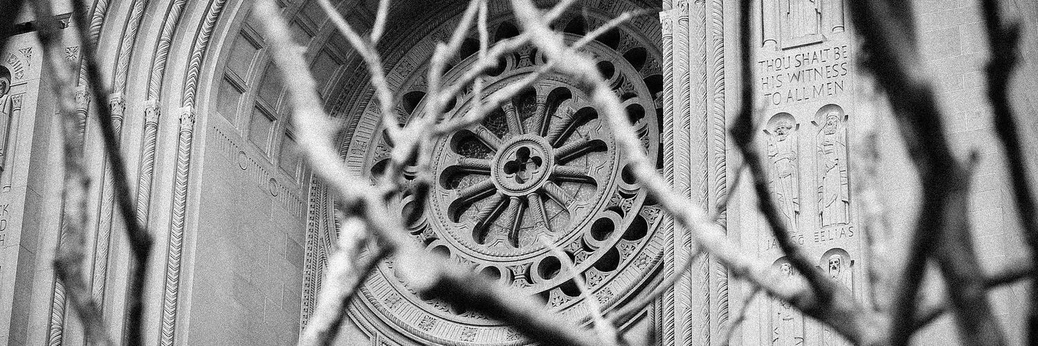 Jeffrey Lorig banner