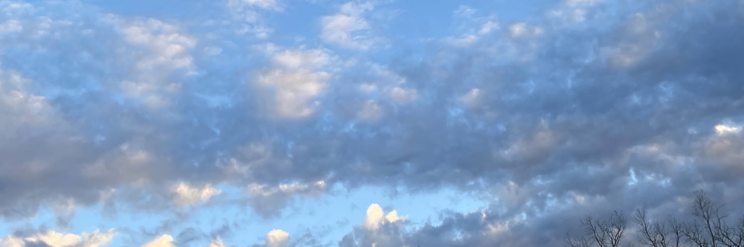 sav2772's profile banner image