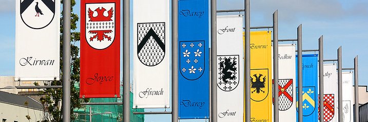 Raluca Tanasescu (she/her) banner