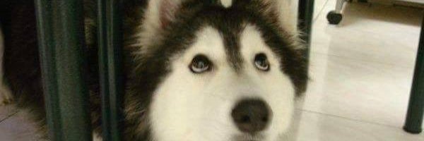 JAONNUT's profile banner image
