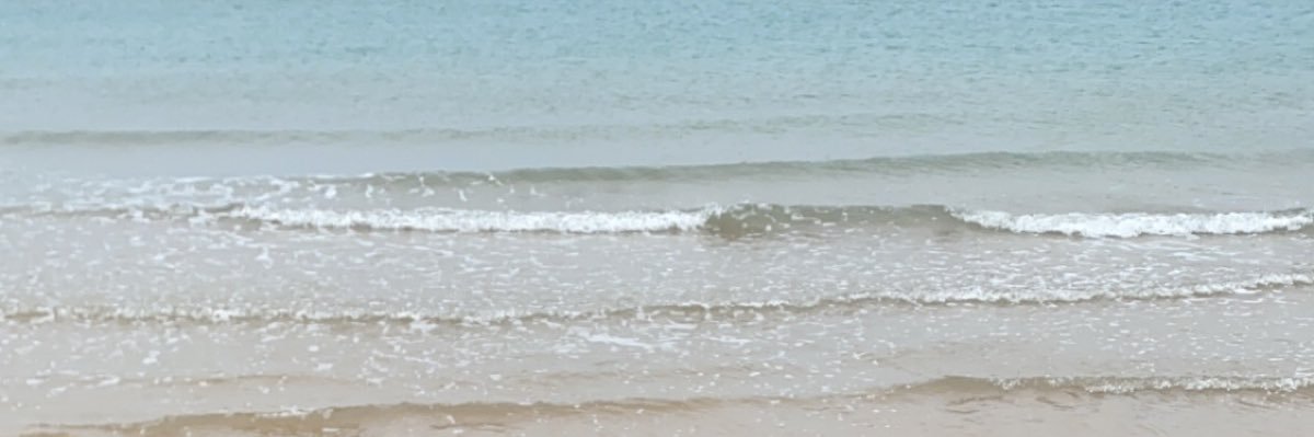 شّ. banner