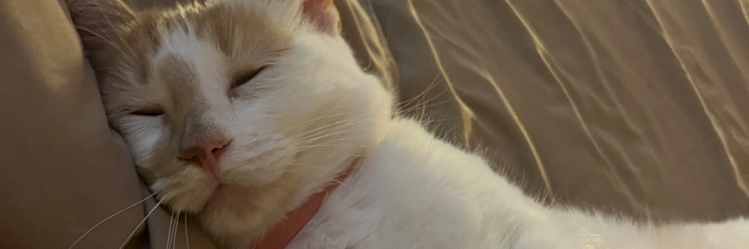 denisedmarin's profile banner image