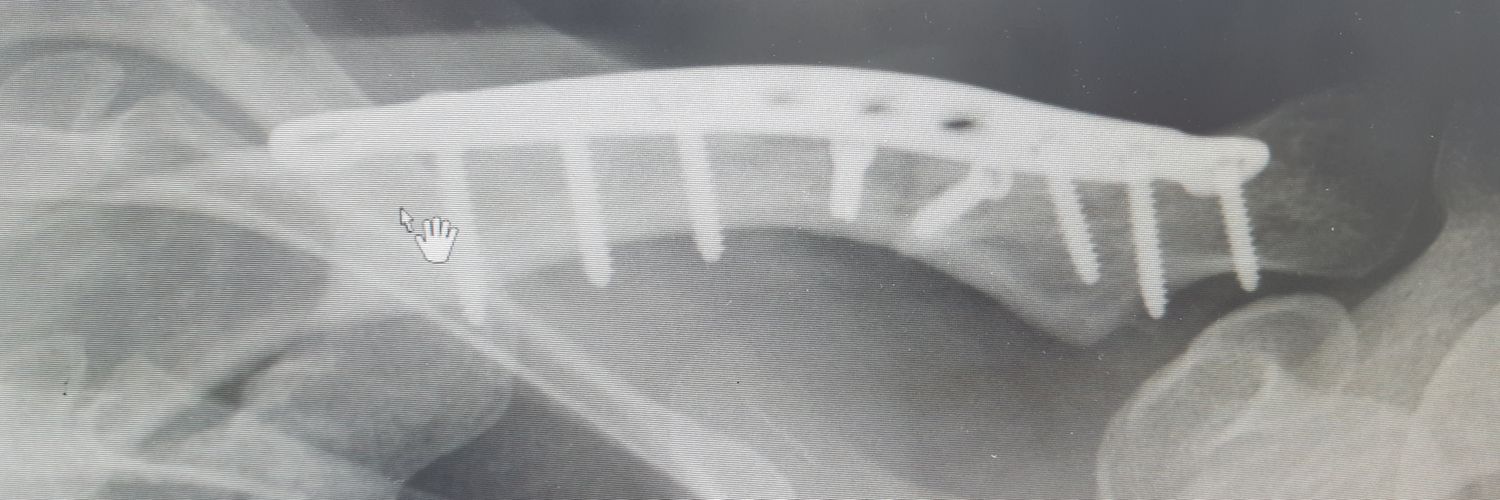 Rik van der Gate banner