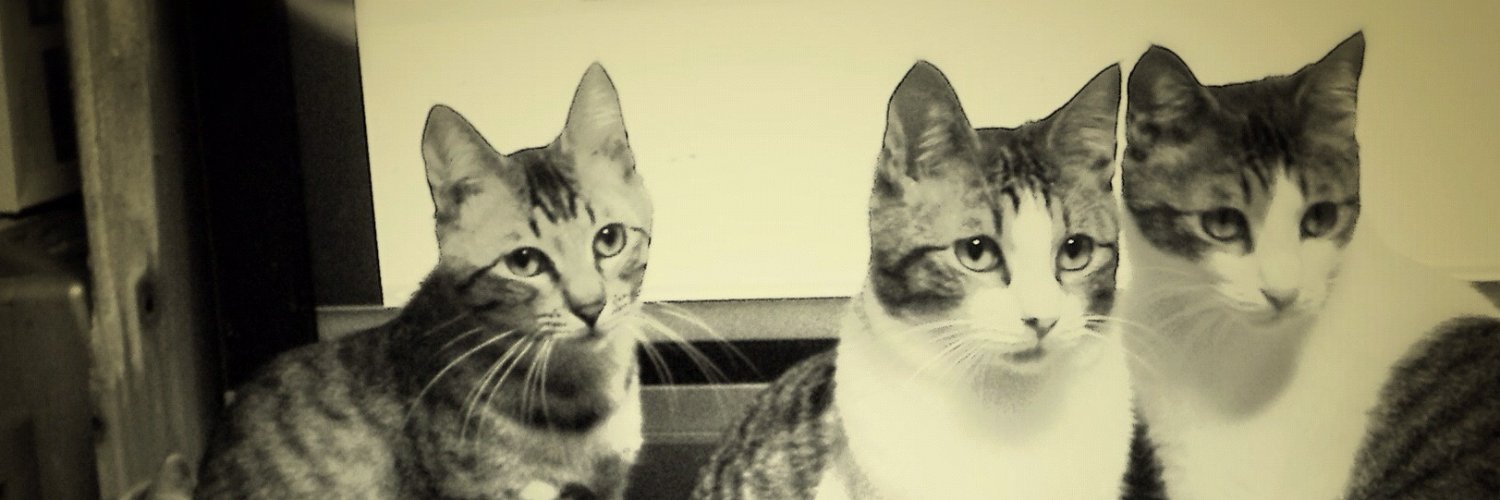 うじにぃ banner