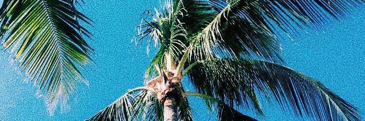 ebax1245's profile banner image