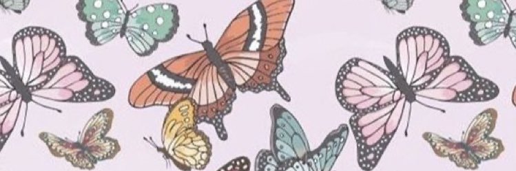 daniwalllace's profile banner image