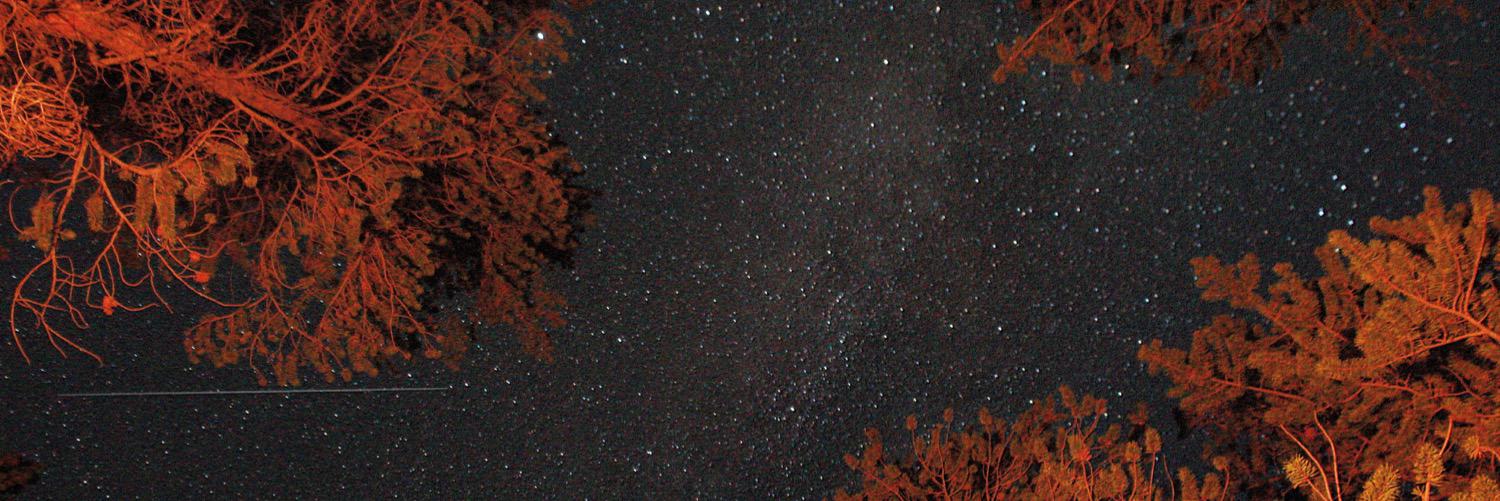 alex_ranz's profile banner image
