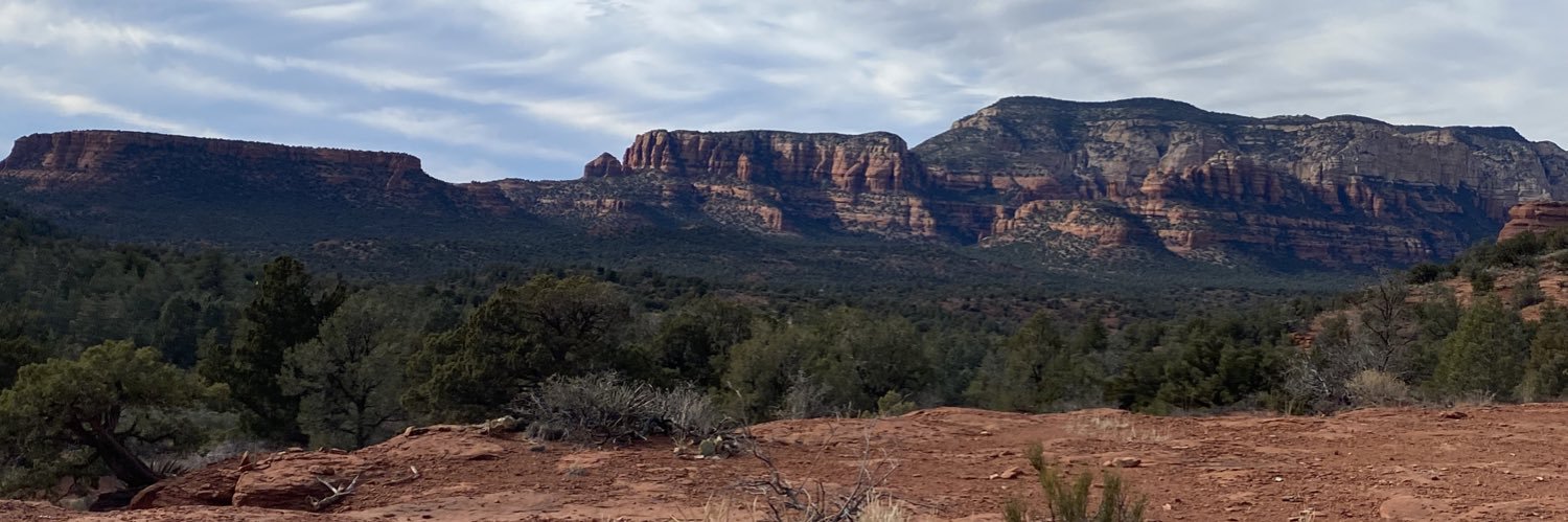 Michael Trivisonno banner