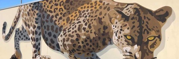 PSLJagsFootball Profile Banner