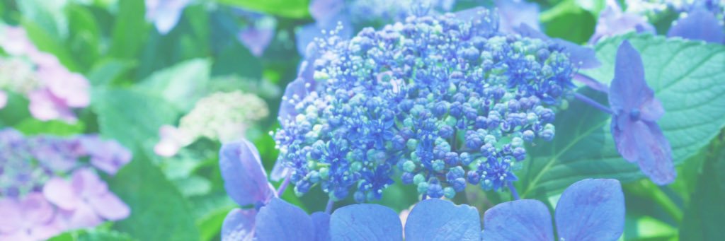 mattaly5's profile banner image