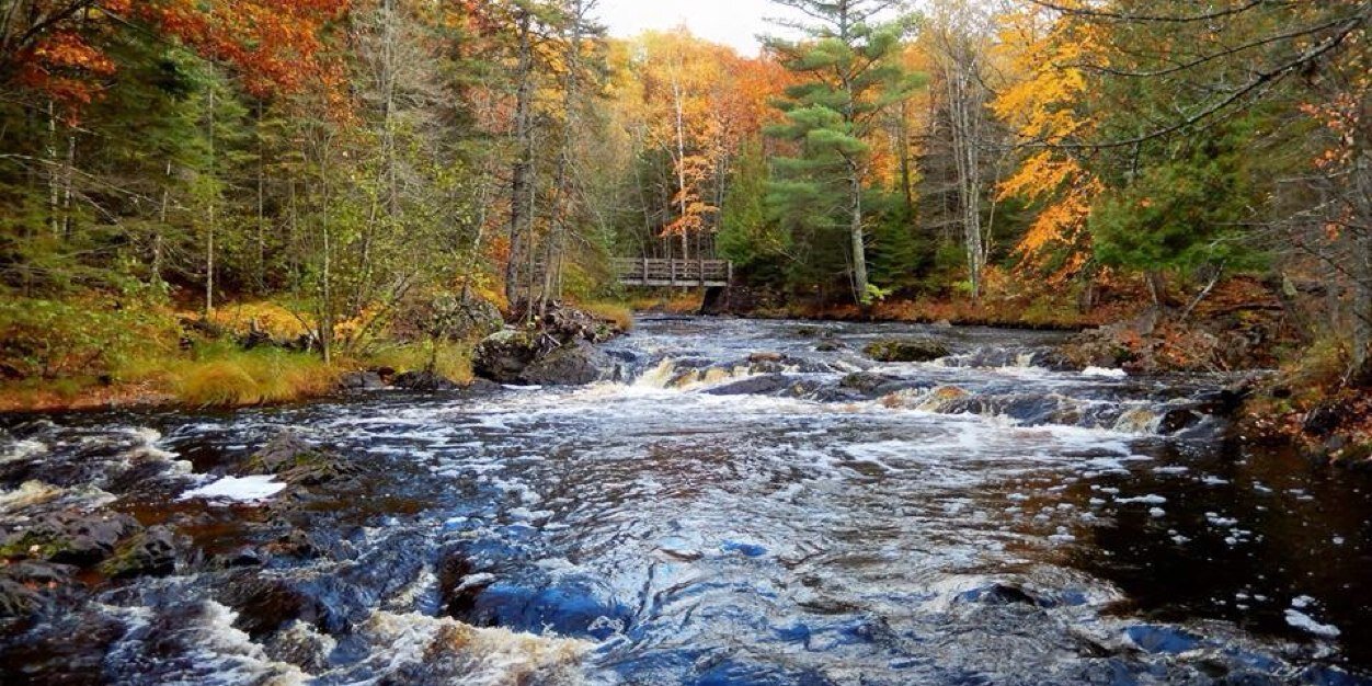 Eric Schofield banner