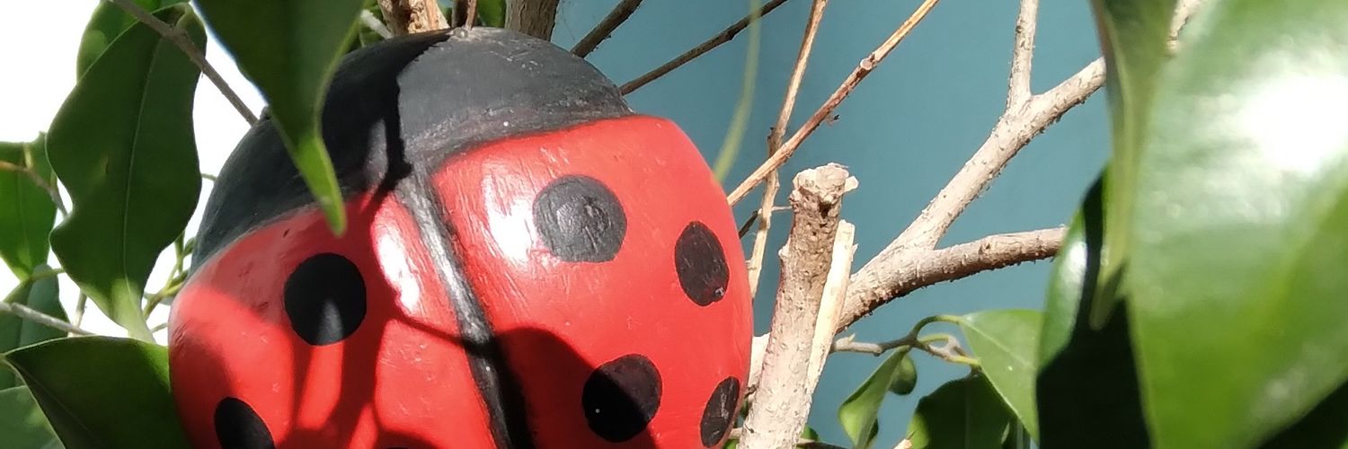 aaajade502's profile banner image