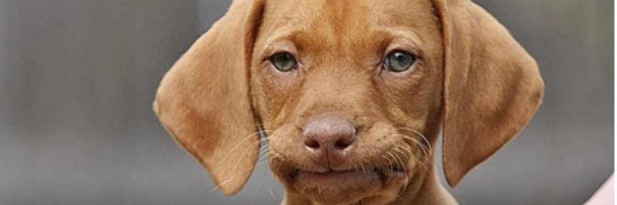 Mr_Ashburn's profile banner image