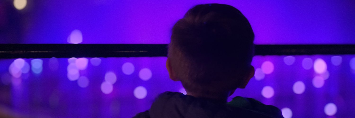dulcevalladare2's profile banner image