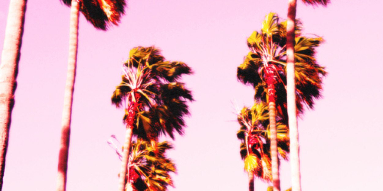 BellicoseSass's profile banner image