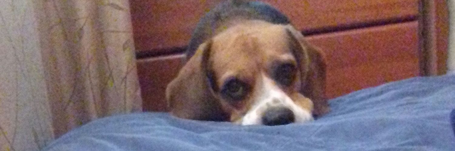 Daycandia8's profile banner image