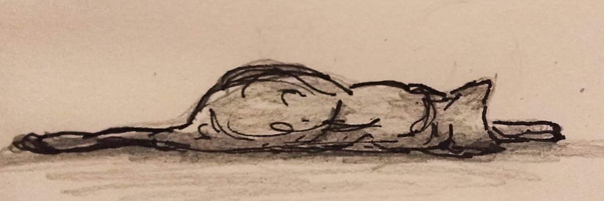 fannymis97's profile banner image