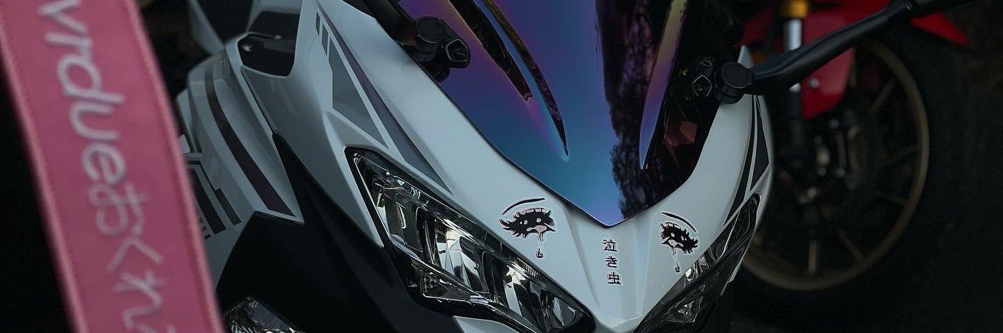 ryafain's profile banner image