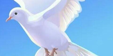 Pyegon's profile banner image