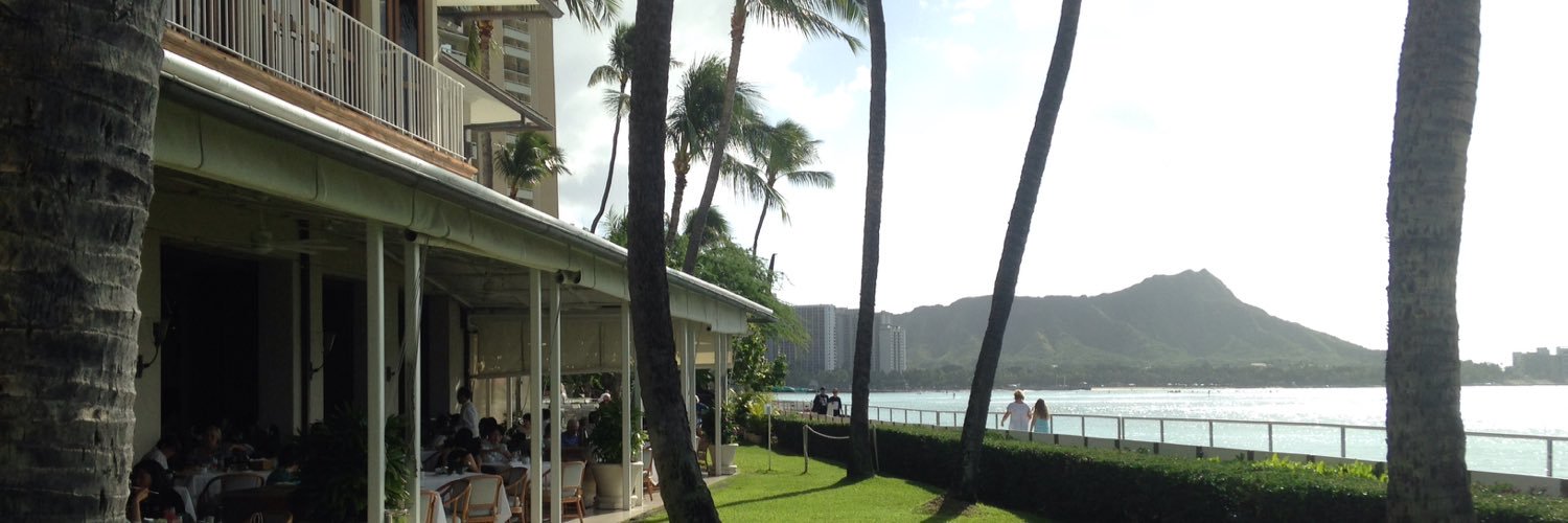 Hawaiianbugyo's profile banner image