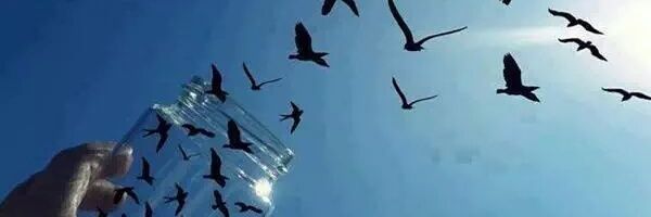Jake_Obeng's profile banner image