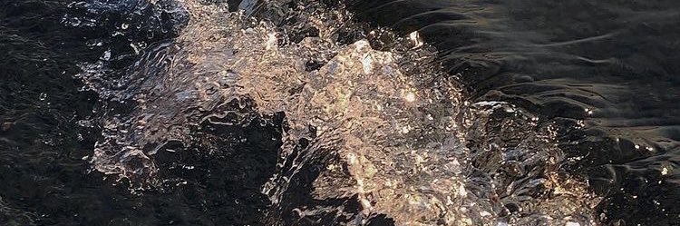 meawpopo banner