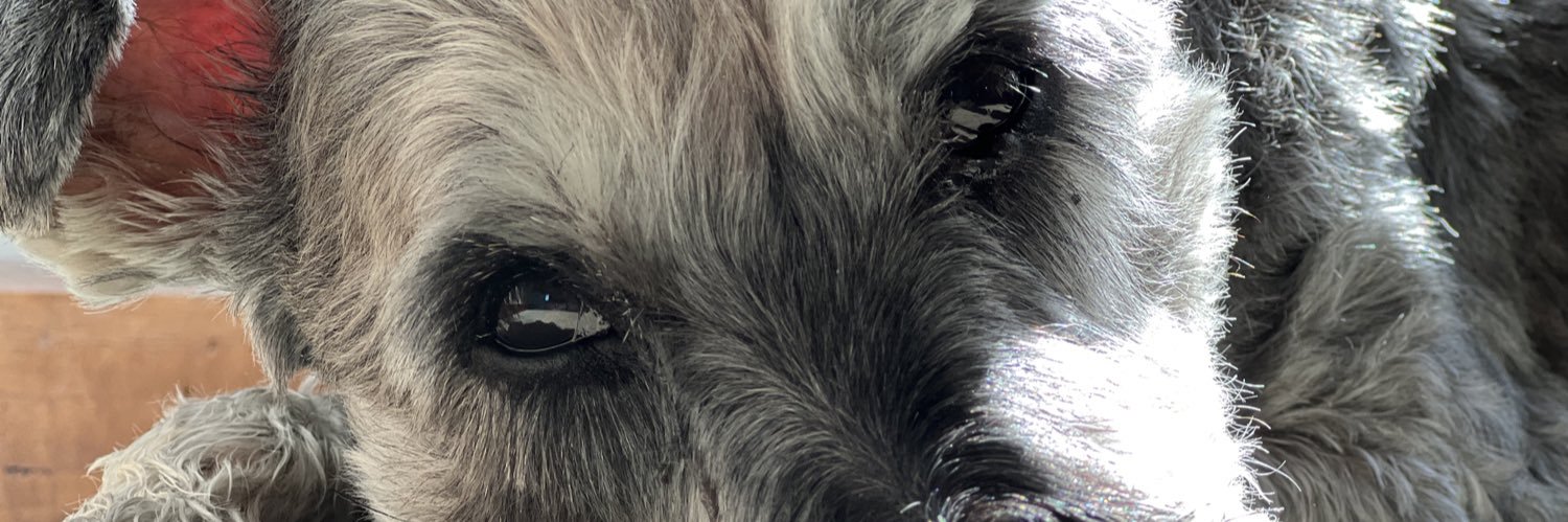 tarquinteh's profile banner image