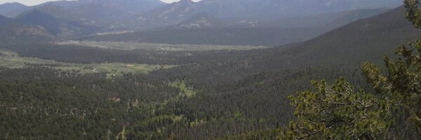 barloon4 Profile Banner