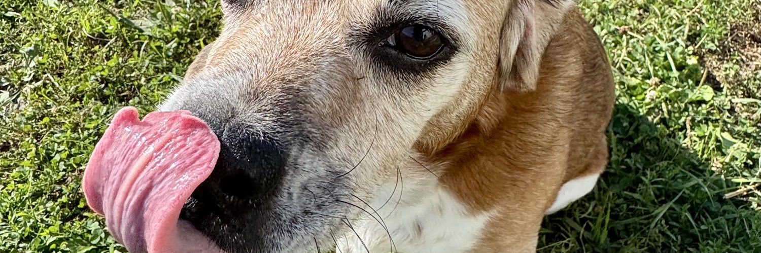 spicimommi's profile banner image